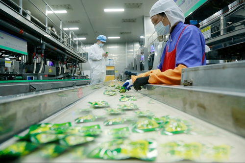 天門工業(yè)企業(yè)奮戰(zhàn)新春“開門紅” 一線見聞